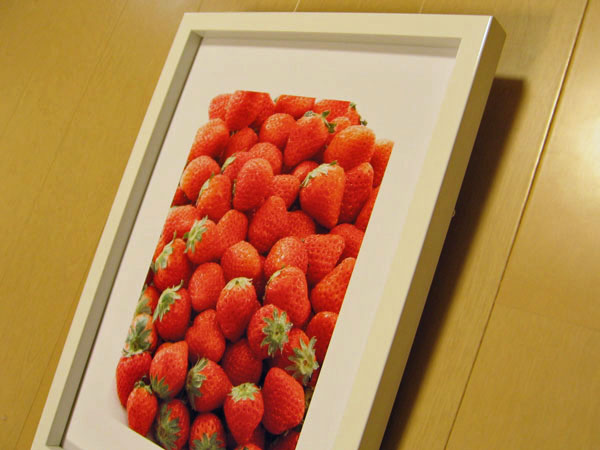 カラーフレームRF-B