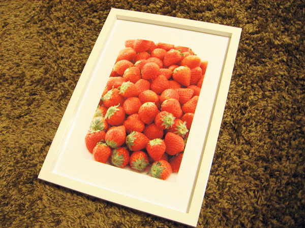 カラーフレームRF-B